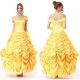 Costume la Belle et la bête de luxe