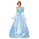 Costume Cendrillon robe de bal