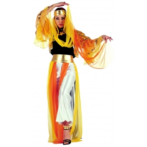 Costume la danseuse orientale
