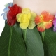 Costume jupe hawai
