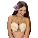 Soutien-gorge noix de coco