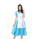 Costume Alice au pays des merveilles