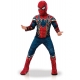 Costume Spiederman