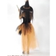 Costume sorcière tutu