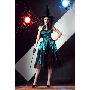 Costume sorci&egrave;re
