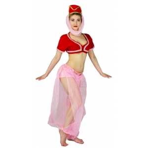 Costume la femme de l'harem