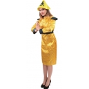 Costume la femme de l'harem
