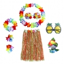 Costume ensemble hawai
