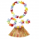 Costume ensemble hawai rouge pour enfant