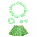 Costume ensemble hawai mulitcolore pour enfant