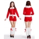 Costume ensemble mère noël 