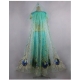 Costume Yasmine Aladdin