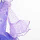 Costume Fille isabella encanto lumineuse LED 