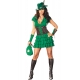 Costume Robin des Boisavec la bourse