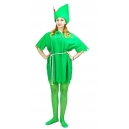 Costume Peter Pan