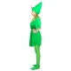 Costume Peter Pan