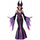 Costume la m&eacute;chante reine 