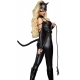Déguisement catwoman