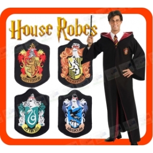 Costume Harry Potter