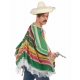 Déguisement Poncho mexicain