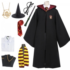 Costume harry potter griffon d'or homme